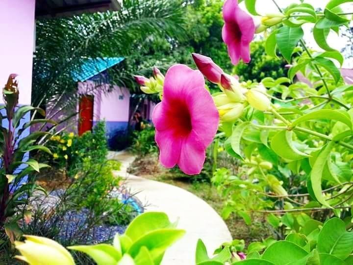 Bangnu River Resort Phang Nga Dış mekan fotoğraf